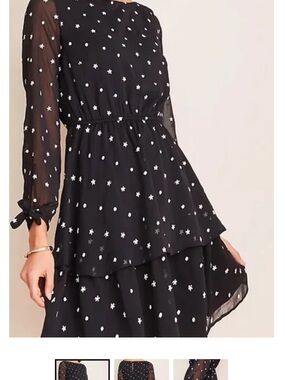 NWT Ann Taylor Sheer Black Floral & Dot Embroidered Tiered Long Sleeve Dress